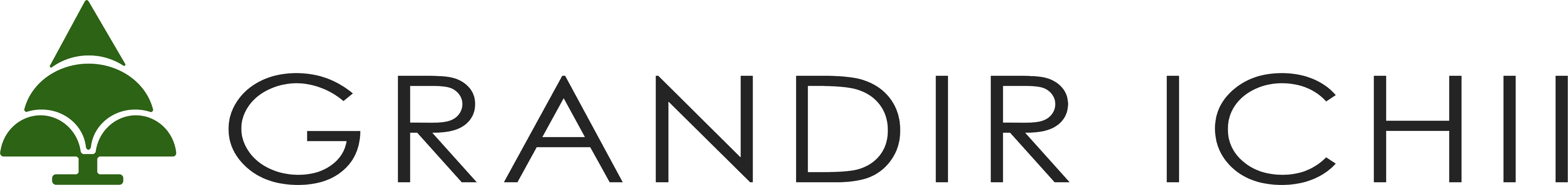 GRANDIR ICHII